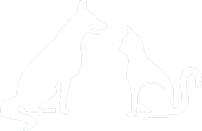 Icon: Katze & Hund